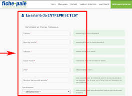 Fiche De Paie Contrat De Professionnalisation Fiche Paie Net