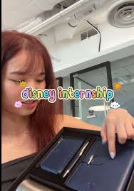 Walt Disney World Costuming Project Analyst Intern Spring Job