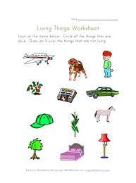 Check spelling or type a new query. Living Things Worksheet All Kids Network