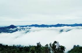 We did not find results for: Taman Wisata Ds Pulau Buayo Kabupaten Sarolangun Jambi 3