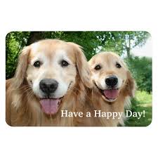 Two Happy Golden Retriever Dogs Outside Magnet Zazzle Com Dogs Golden Retriever Golden Retriever Retriever
