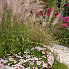 Hochwertige qualität kies und splitt aus der ganzen welt durch ganz deutschland geliefert! Kiesbeet Anlegen Perfekt Fur Sonnige Standorte Ndr De Ratgeber Garten