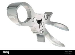 Castration Plier, emasculator for livestock. Emasculator banding,  veterinary Instrument. 3D rendering isolated on white background Stock  Photo - Alamy