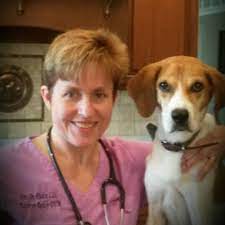 Our family has lived and worked in the san ramon valley since 1980. Pets In Peace Llc Home Facebook