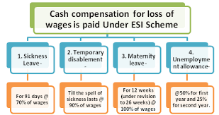 Cashless Treatment Of Esic Employees And Cash Compensation For Loss Of Wages Central Govt Employees 7th Pay Commission Staff News