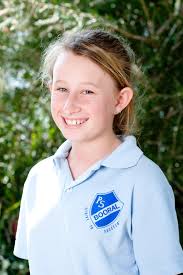 Newsletter Term 4 Week 8