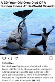 Maybe Just Maybe It S Because We Should Just Leave Them Alone In The Wild Sea World World Problems Faith In Humanity