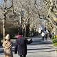 Wednesday Walks (weather permitting) event image