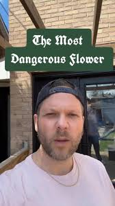 Before you know it.... 😉🌻🌿⚘