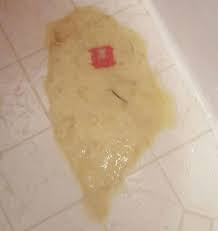 What Might Be Causing Your Dog To Vomit Whole Dog Journal Yellow Vomit Vomit Dogs