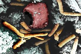 Image result for Anthrax