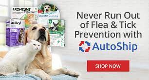Exciting mini games will add even more fun to your days in. Animal Care Pet Supplies Farm Livestock Domyown Com