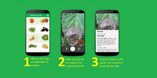 This follows chaotic scenes during a debate on the legislature's election process, which led to the collapse of its session in midrand this week. Pan African Parliament News From Africa