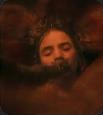 Click for full picture 😂