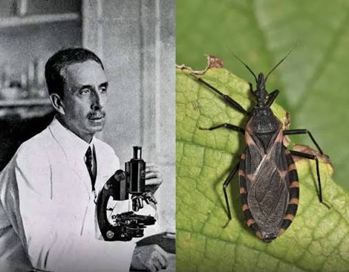 O médico e cientista Carlos Chagas foi o primeiro até os dias atuais a  descrever completamente uma doença infecciosa. Chagas encontrou  protozoários no intestino do barbeiro e, depois, no sangue de animais,