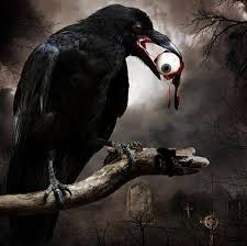 Raven With A Treat In A Cemetery Krahe Rabe Amsel