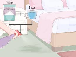 4 Ways To Make Rat Poison Wikihow