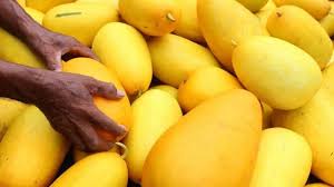 Kini, timun mas sudah menginjak usia 17 tahun. Cerita Rakyat Timun Mas Beserta Ulasan Lengkapnya 2021 Poskata