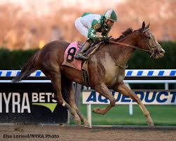 Eight Day Turnaround No Problem For Highway Star In Staten Island Horse Racing News Paulick Report Thoroughbred Horse Racing Island Horse Horses