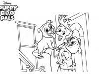 Maybe you would like to learn more about one of these? Puppy Dog Pals Archives Ecolorings Info