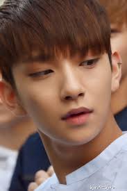 Pledis 17 Joshua Seventeen Seventeen Kpop Warm Skin Tone