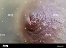 Male nipple hi-res stock photography and images - Alamy