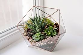 Terrariums are our favorite way to bring gardens indoors. Air Plant Terrarium Diy Create A Beautiful Miniature Garden In Glass