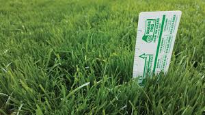 New sod laid about 3 weeks ago. What Is The Best Mowing Height For Your Lawn Grass Pad
