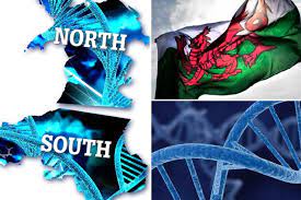 Reasons why you should probably never plan a trip to wales include…. North And South Wales Walians As Genetically Different As The English And The Scots Wales Online