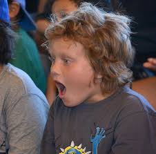 OC Fair: Russell Bros. Family Fun Circus is a hit