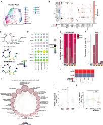 Sskin tool easily without annoying safelink! Developmental Cell Programs Are Co Opted In Inflammatory Skin Disease Science
