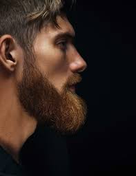 Beard Grooming Products