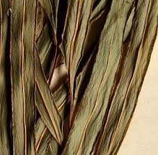 Image result for Lindsaea ensifolia