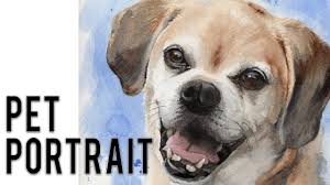 Lookit this fine thicc floofer! Watercolor Pet Portrait Tutorial How To Paint A Dog With Watercolour Youtube