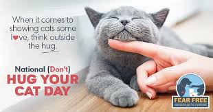 Did you know a study in 2016 led by university of edinburgh researchers found that the three main personality factors that describe each species of both cat and lion were dominance, impulsivity, and neuroticism? National Hug Your Cat Day Hug Your Cat Day Cats Hug You