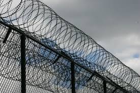 Fight against draconian bill c10 at the same time fight against draconian lockdown. 10 Reasons To Oppose Bill C 10 The Star