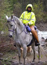 Design by committee is a disparaging term when a project has many voices involved, but no unifying plan or vision. Mounted Search And Rescue Wikipedia