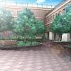 Hd wallpapers and background images. 1