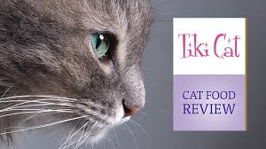 This page contains affiliate links. Tikicat Cat Food Review Cat Reviews