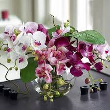 Epingle Par Corinne Kaulek Sur Inspiratie Orchidees Artificielles Fleurs Exotiques Orchidee Phalaenopsis