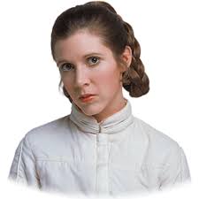 Download Princess Leia Icons Png Free Png And Icons Downloads