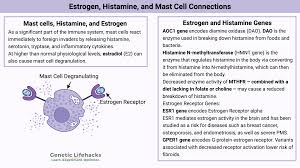 Image result for Histamine