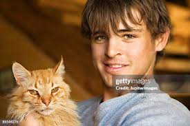 546 20 Cats 17 Stock Photos, High-Res Pictures, and Images