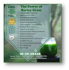 The Power Of Barley Grass Grass Health Chlorophyll Benefits Barley Grass