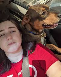 Dove available for adoption in Austin, TX