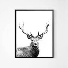 Deer Photo Animal Minimal Art Print Black And White Modern Etsy Deer Wall Art Deer Photography Deer Poster