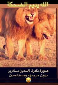 Pin By Fahd Abdul Aleem On ابتسامه Funny Arabic Quotes Arabic Funny Crazy Funny Memes