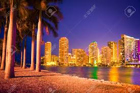 Look through palm tree pictures in different colors and styles and when you find some palm tree that inspires. Beautiful Night View Of The City Of Miami Skyline With Bay Stock Photo Picture And Royalty Free Image Image 70178867