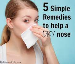 5 Simple Remedies To Help A Dry Nose - My Mommy Style