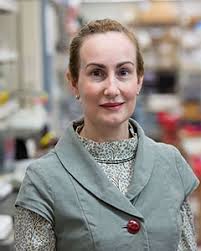 Mysteries of the Mind